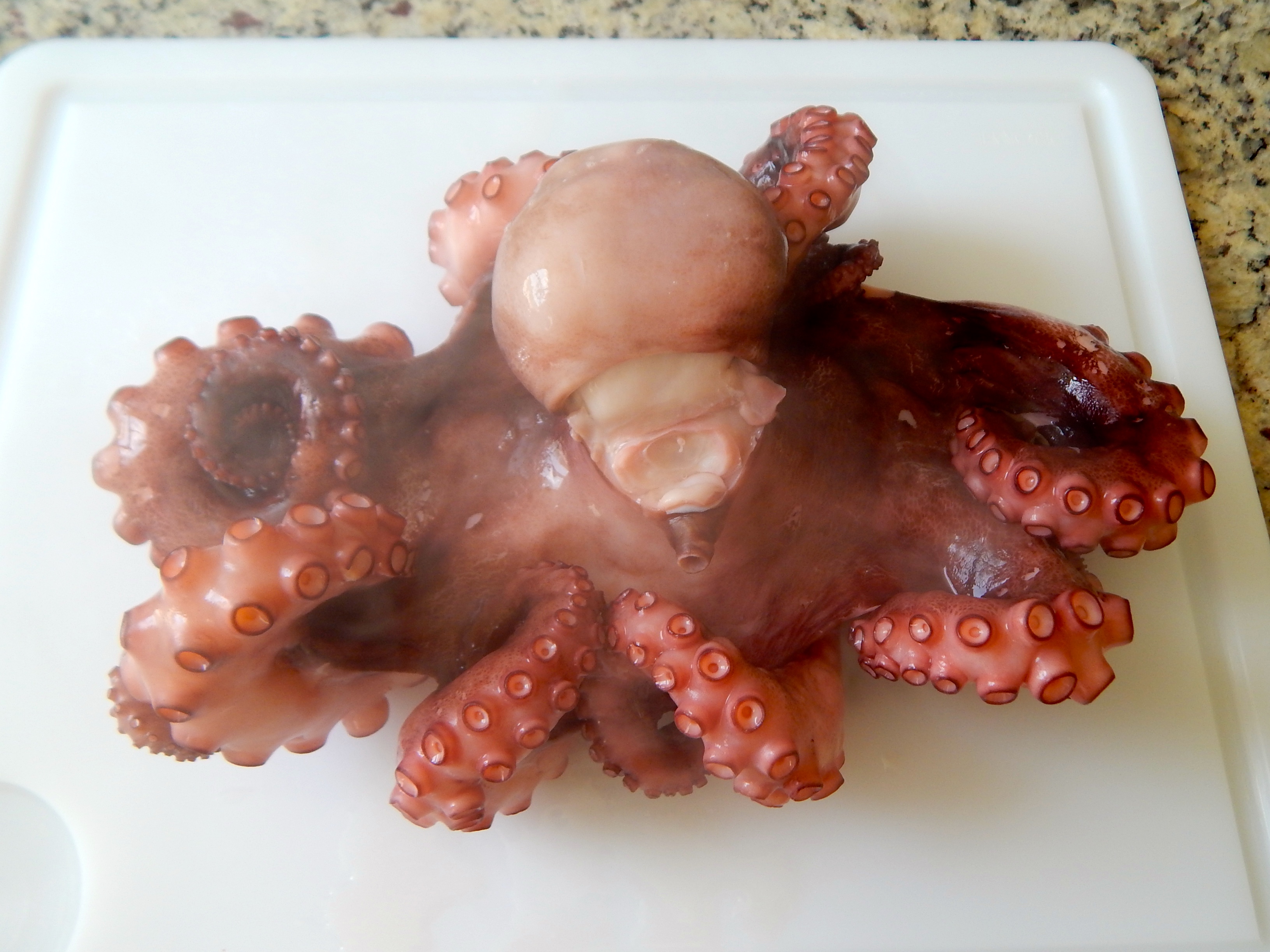 Retire e deixe esfriar