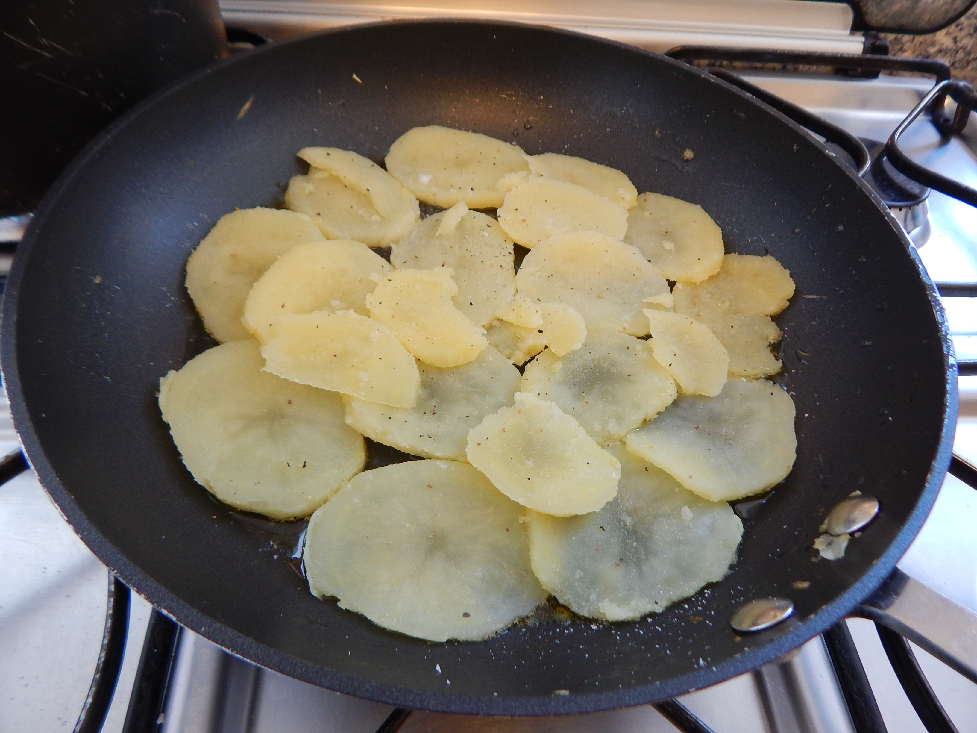 Primeira camada de batata