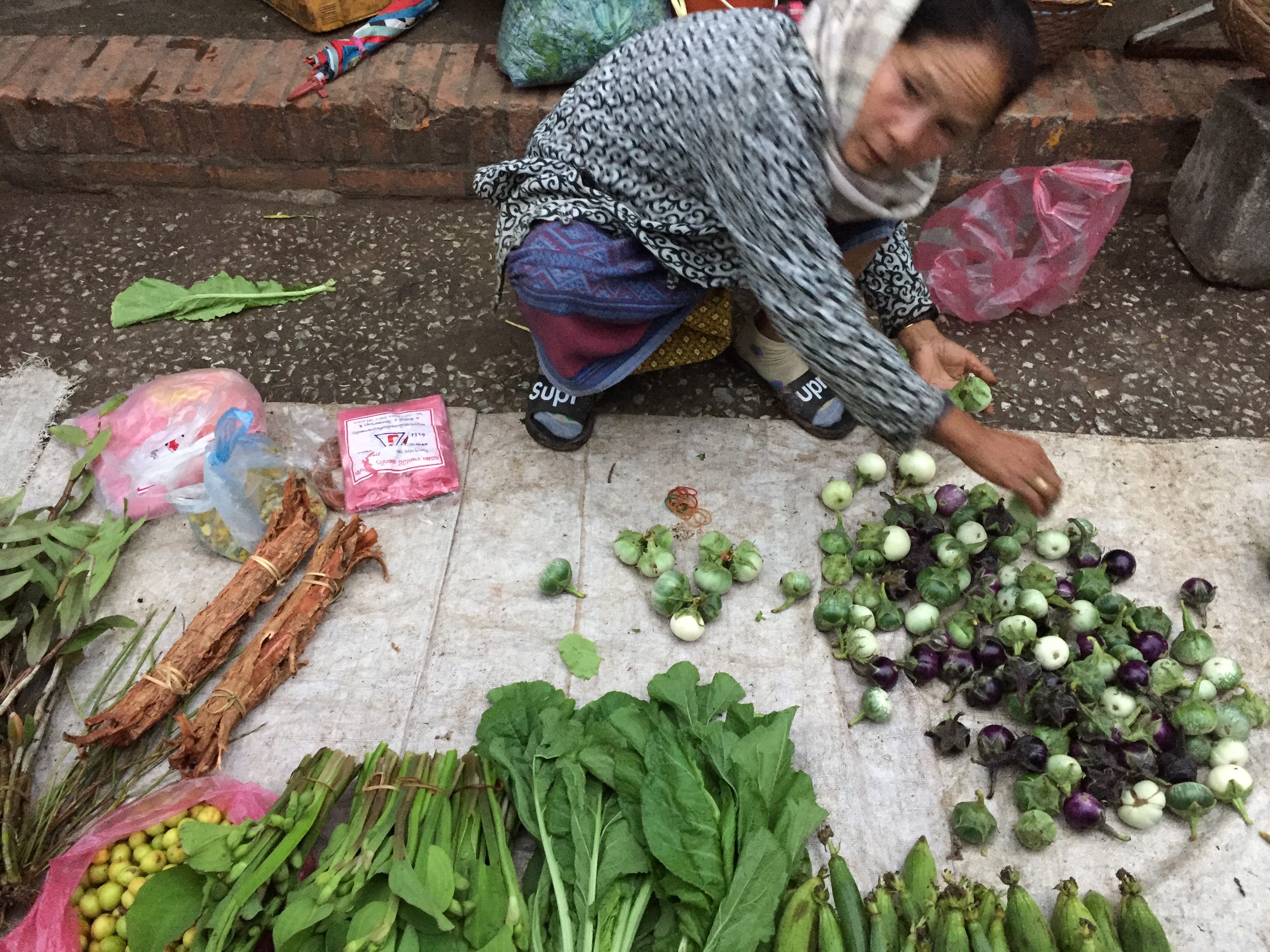 Imensa variedade de folhas
