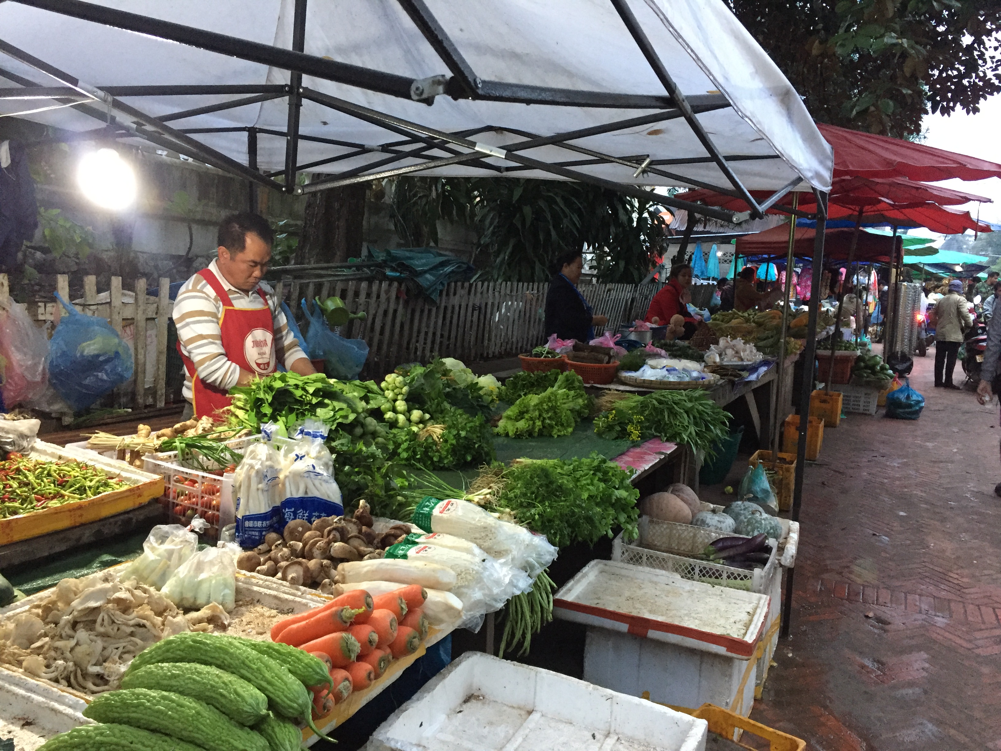 Variedade de legumes e verduras