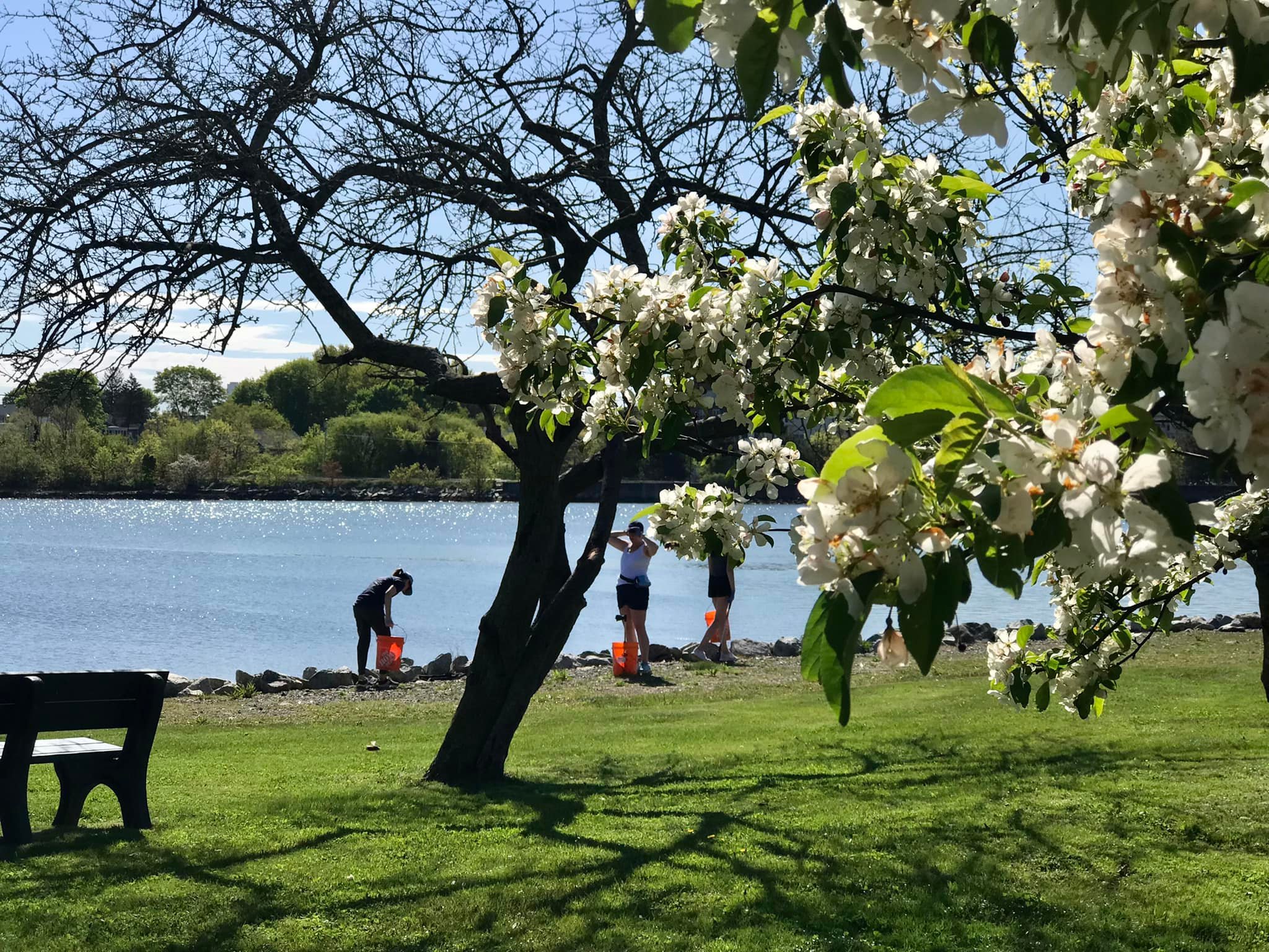 Furlong Park