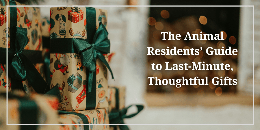 pictures of gifts with the words " The Animal Residents' Guide to Last-Minute, Thoughtful Gifts"