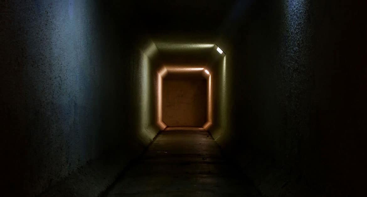 Optimize tables will recreate the selected table and remove any excess local storage being utilized by that table. WordPress Database Tables | Sal Ferrarello