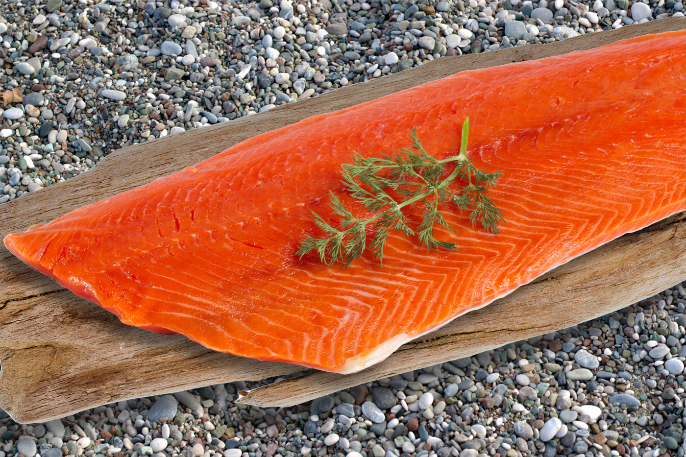 coho-salmon-small-fillet-salish-center-for-sustainable-fishing-methods