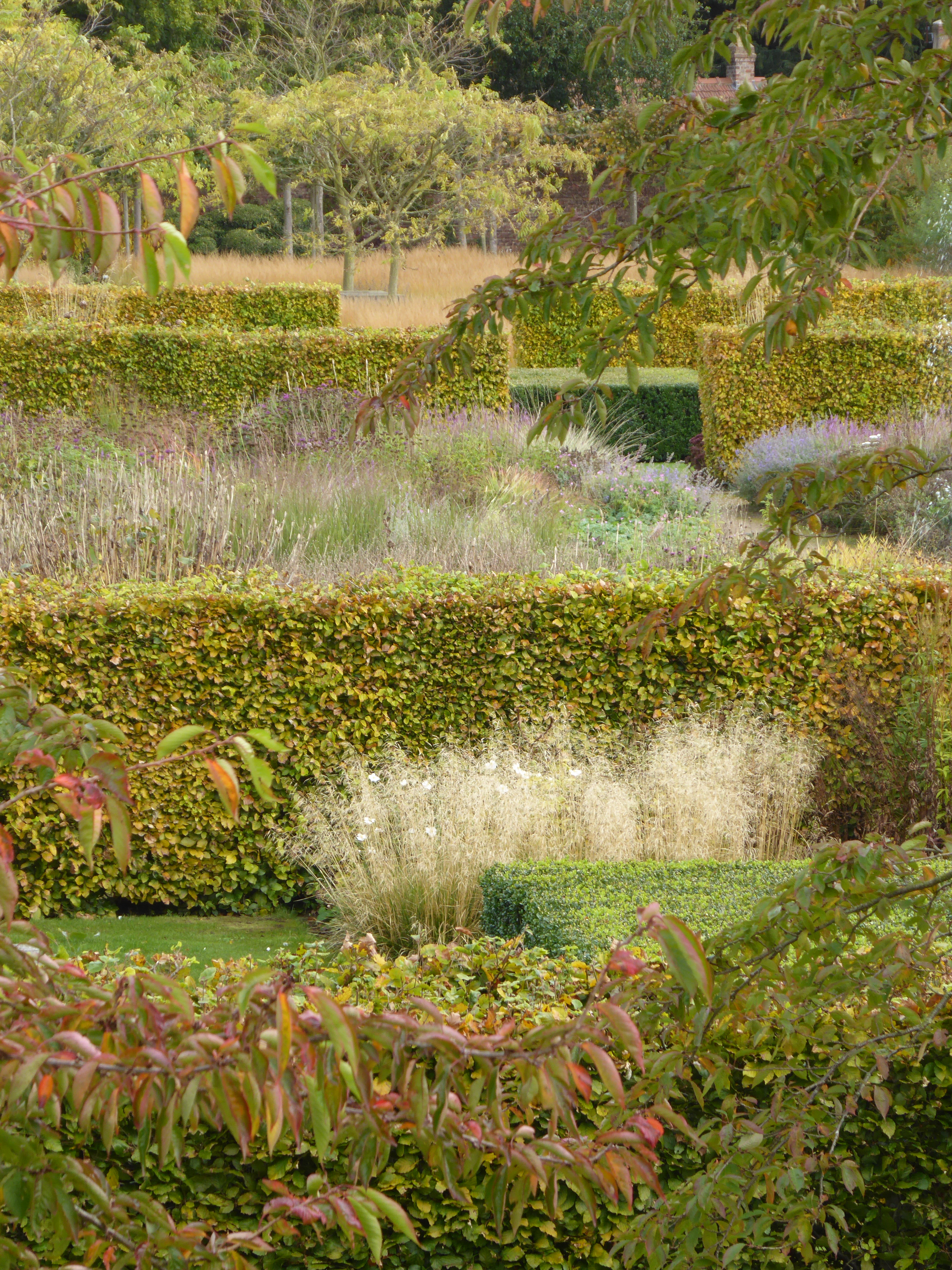 scampston designed in