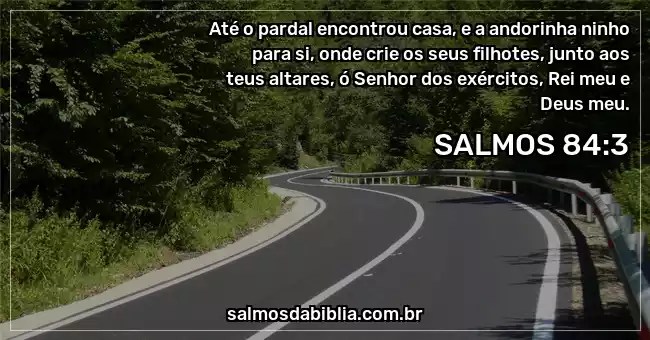 Salmo 84 3 Ate O Pardal Encontrou Casa E A Andori Salmos Da Biblia