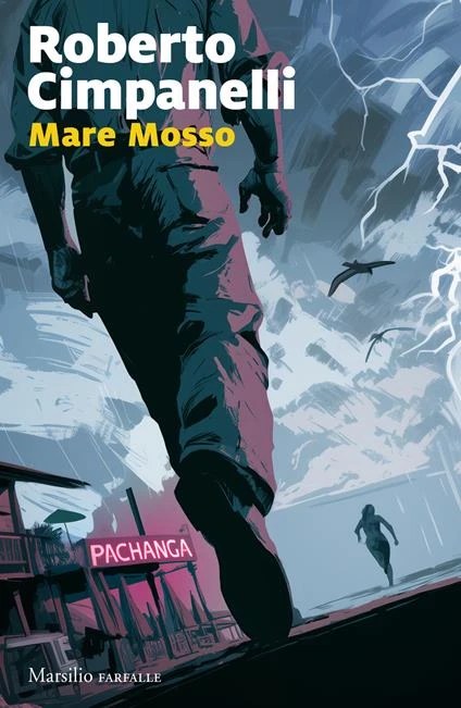 Mare mosso di Roberto Cimpanelli