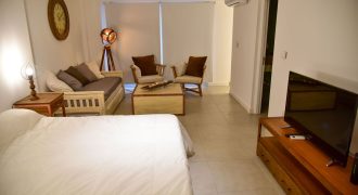 Amplio monoambiente céntrico