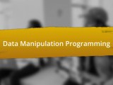 Data Manipulation Programming Quiz Saltedandhung Sg