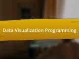 Data Visualization Programming Quiz Saltedandhung Sg