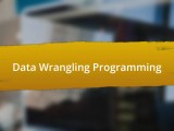 Data Wrangling Programming Quiz Saltedandhung Sg