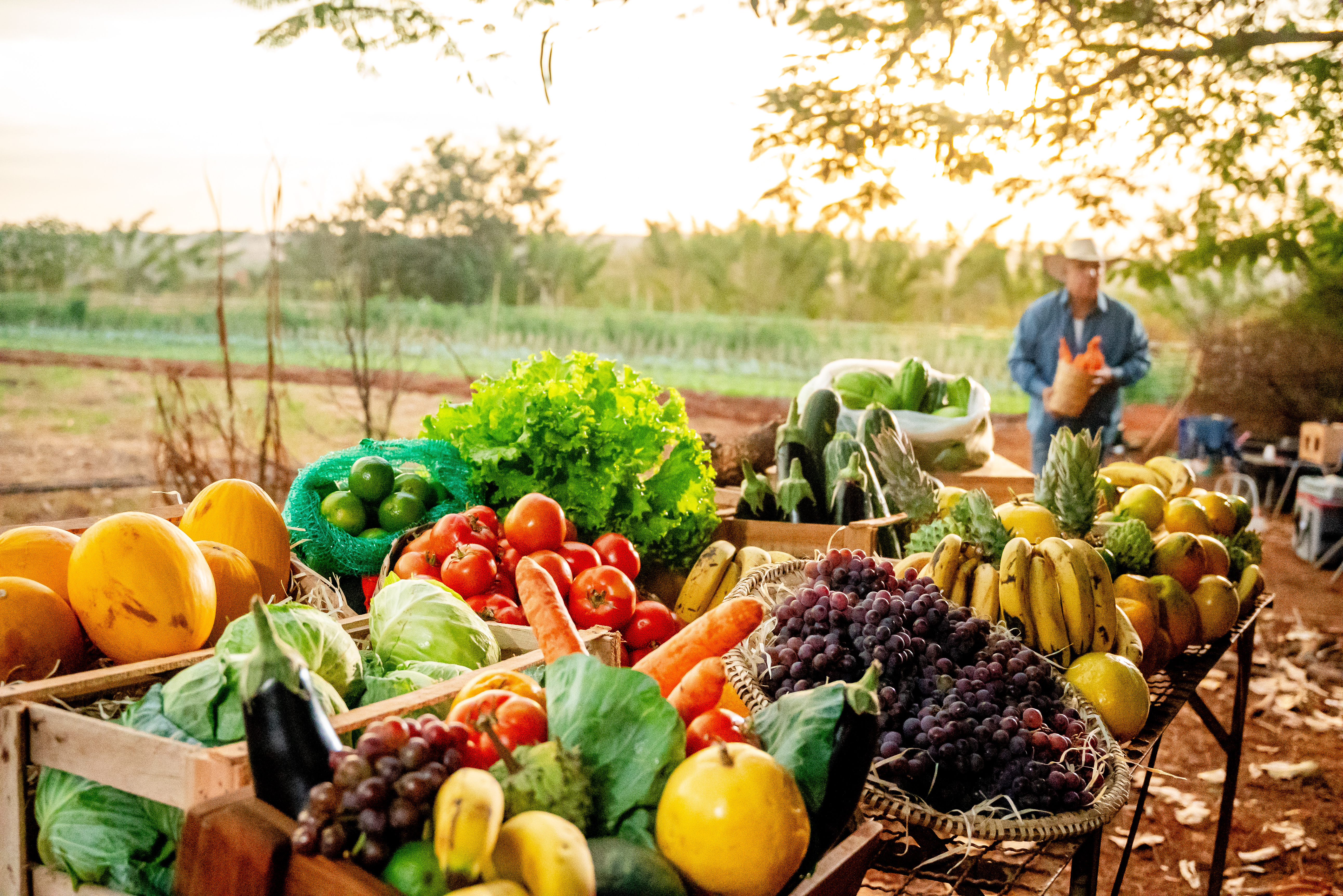 Fresh fruits and vegetables displayed at a local farm market with a farmer in the background