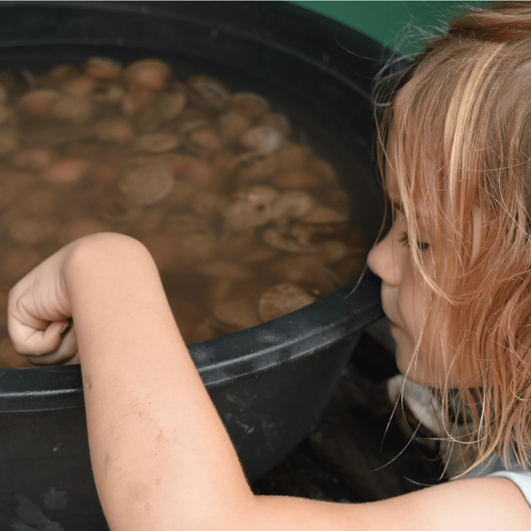 Antonio Island, Western Visayas