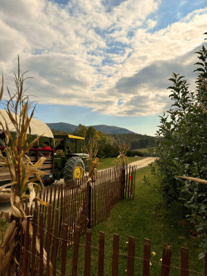 Green tractor with a yellow canopy beside a wooden fence in a rural garden, with corn stalks and rolling hills under a cloudy sky.