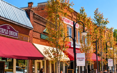 BlogFeatureFallSaludawebp Busy downtown street with brick storefronts, red awnings, and fall-colored trees; storefront signs include purple onion and thompson's market (saluda).