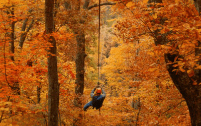 Person wearing a helmet gliding on a zip line through an autumn forest with orange and gold leaves nearby trees