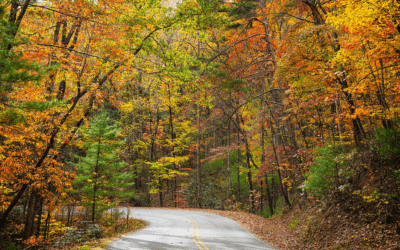 0_3 → Discover Saluda, NC