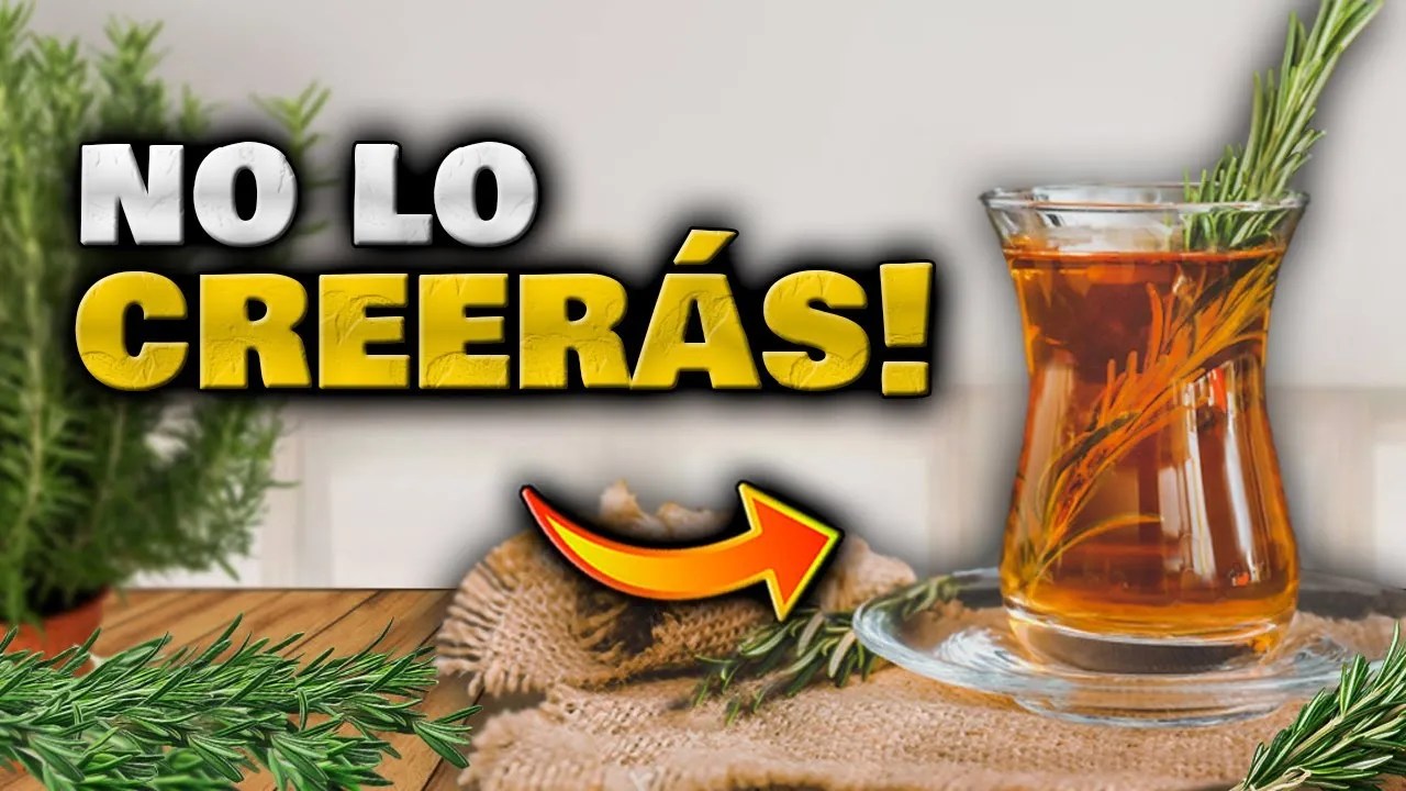 Té Romero Diario Beneficios Propiedades Planta Milagrosa