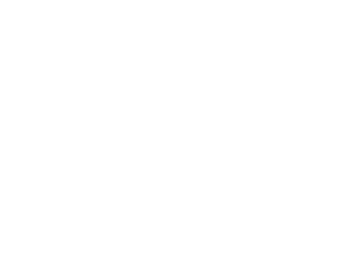Logo Salyar