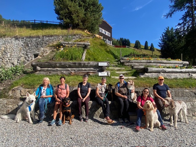 Sam Dogs - search and mantrailing - hundeschule