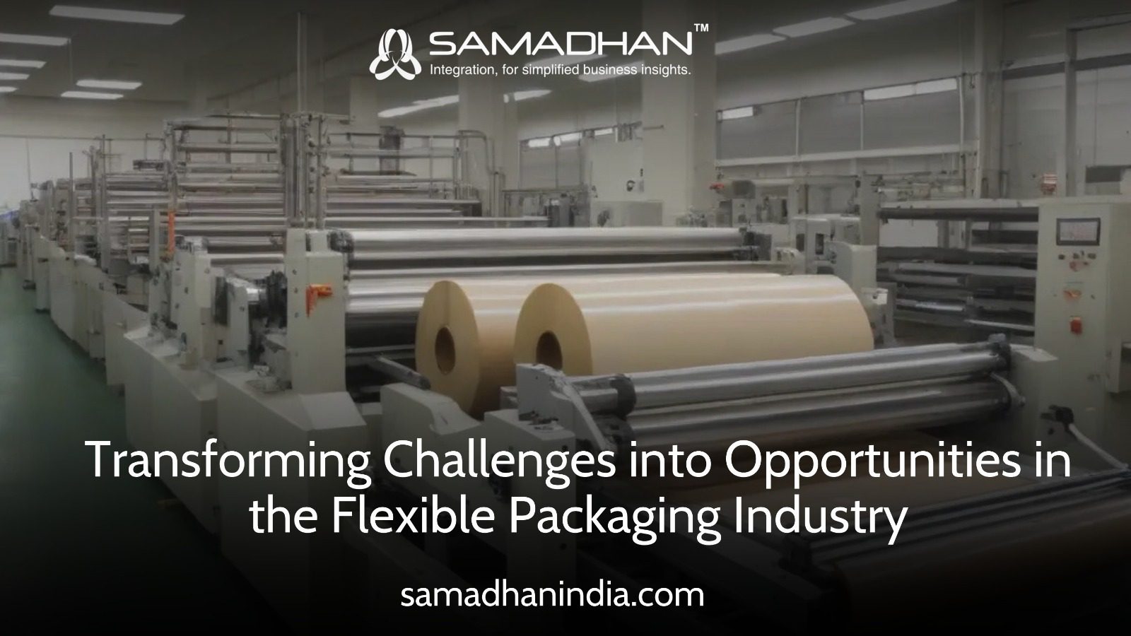 Flexible ERP: Transforming Challenges into Opportunities in the Flexible Packaging Industry