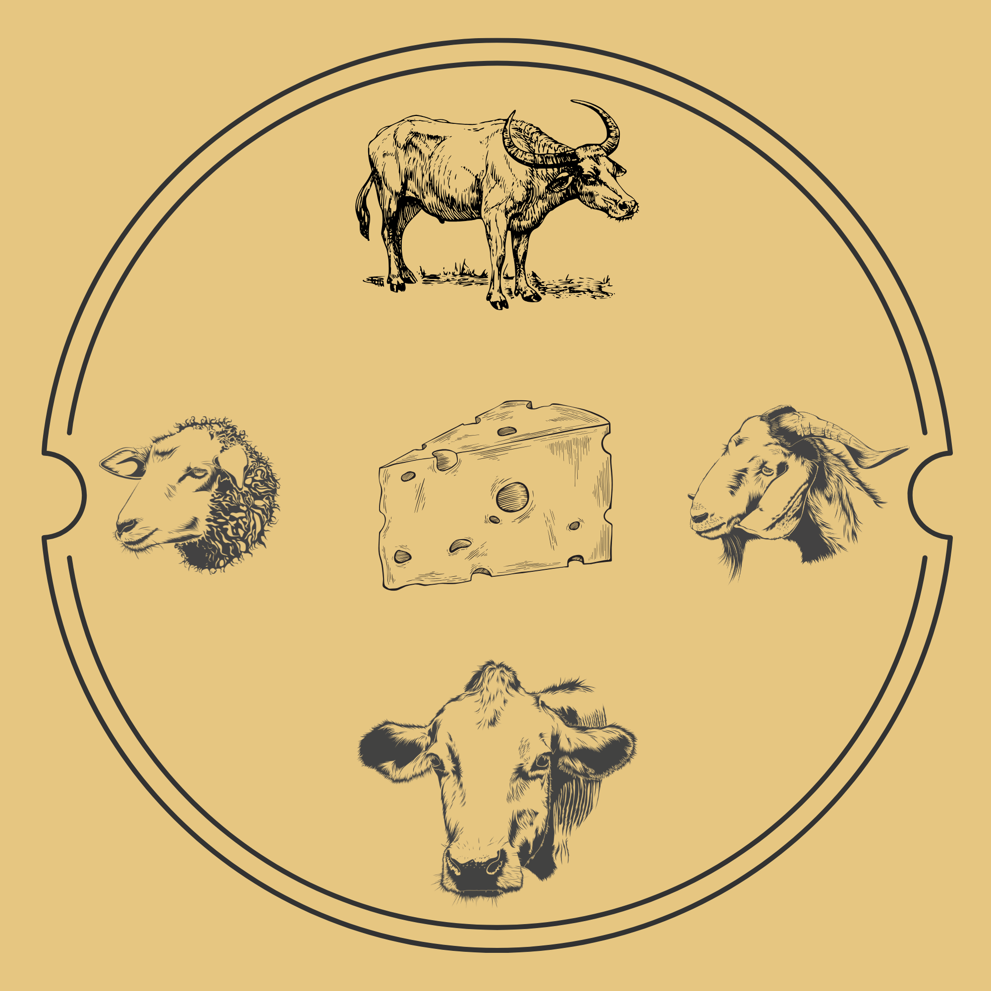 Cheese Ruminations