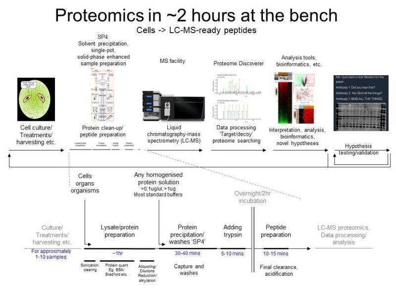 Samantlab Rahul Samant Github - High Quality Mobile Minimal Images | Free Download