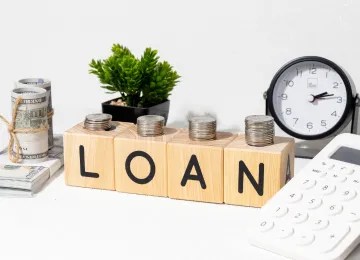 NCDs (Non-Convertible Debentures)