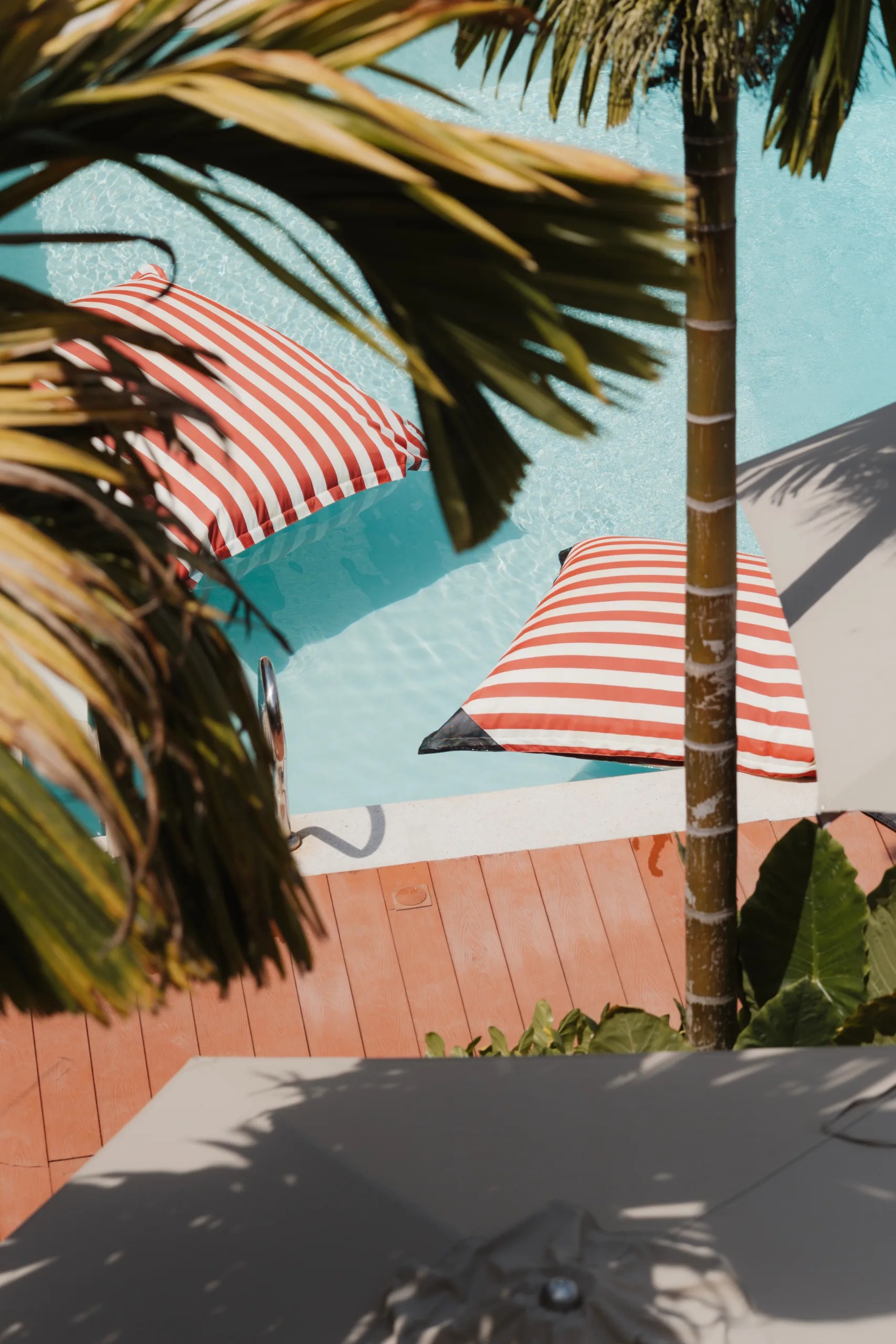 Samawa Living — pool and grounds, Paje Zanzibar