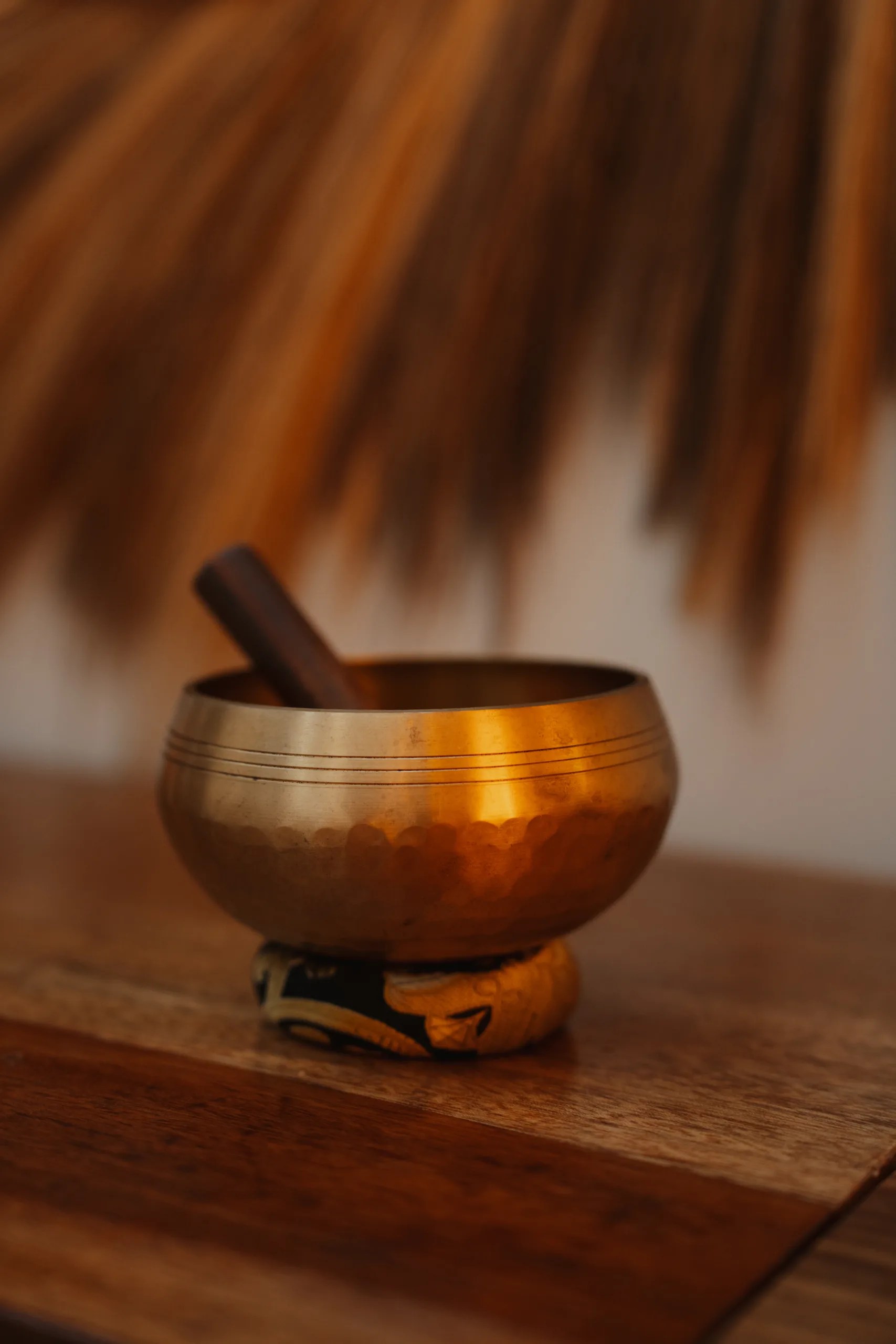 Samawa Living boutique hotel, Paje Zanzibar