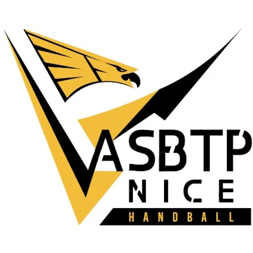 Blason du club de Handball de ASNICE
