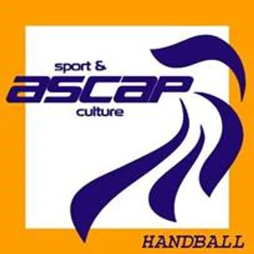 Blason du club de Handball de PAYS DE MONTBELIARD