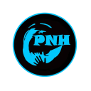Blason du club de Handball de PAYS DES NESTES