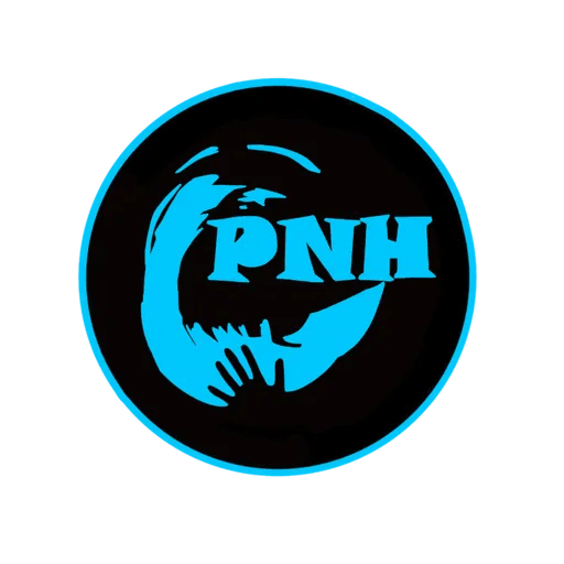 Blason du club de Handball de PAYS DES NESTES
