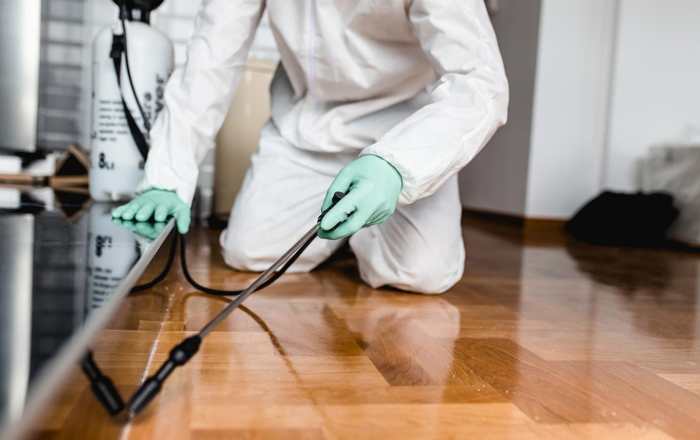 Read more about the article Why DIY Pest Control Often Fails in Lexington Homes