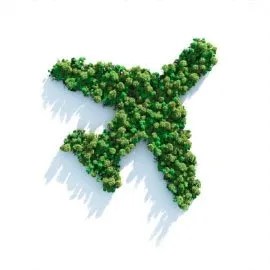 Offsetting CO2 from flights