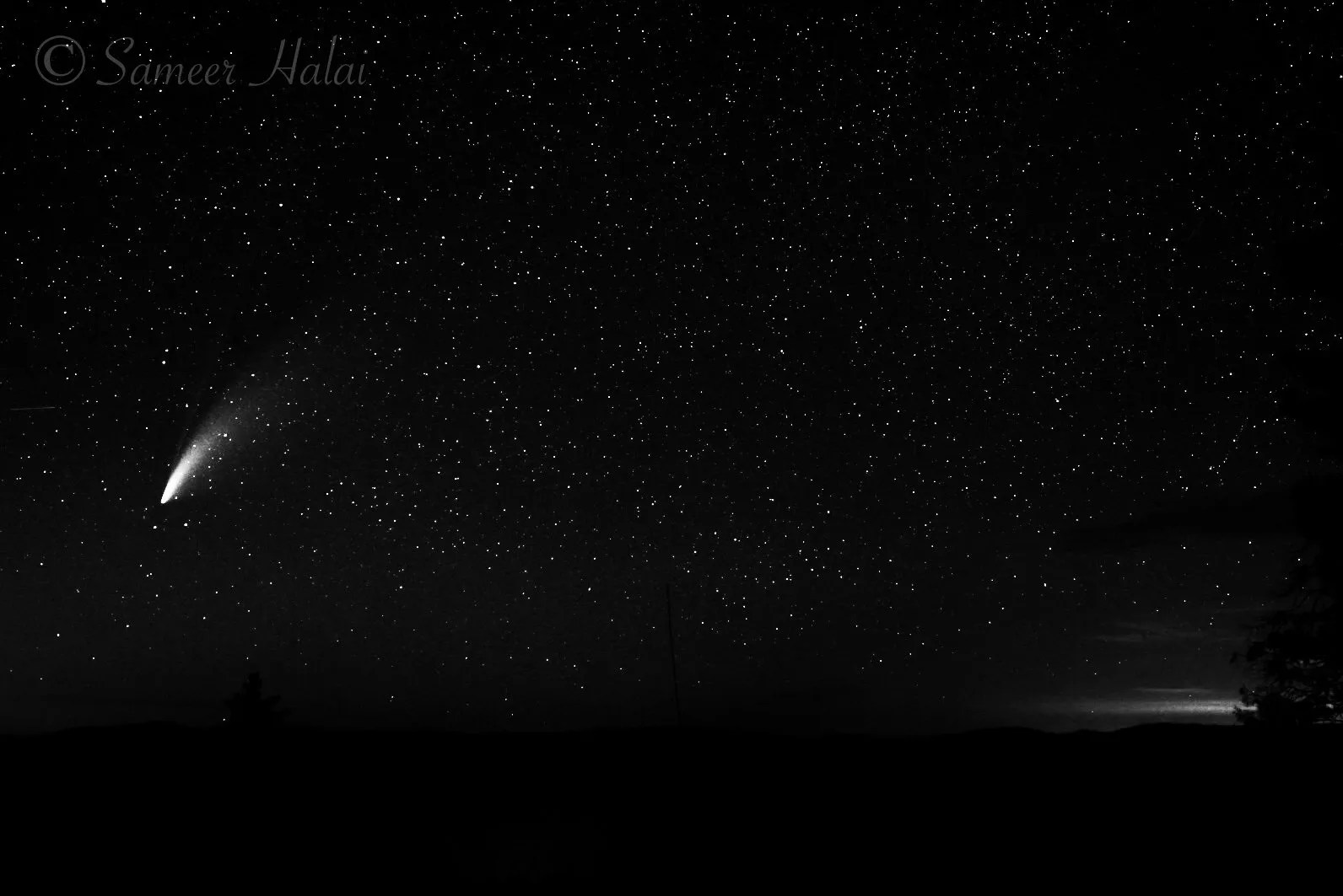 Comet Neowise at Night