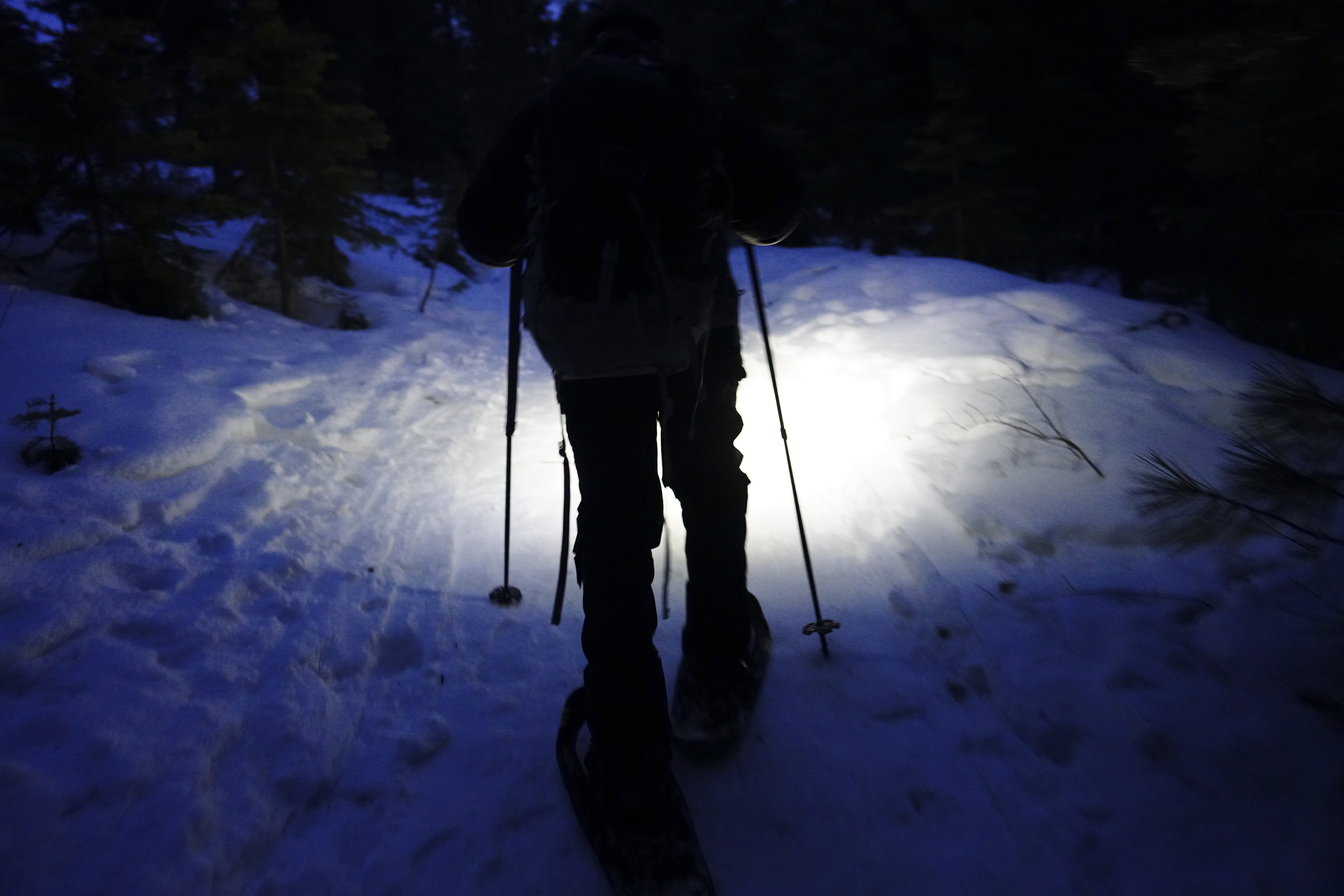 Snowshoeing with Dad