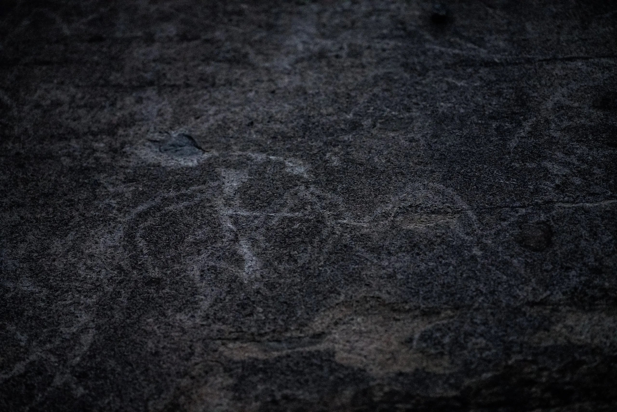 Thanksgiving at site of Native American petroglyphs where settlers entered California
