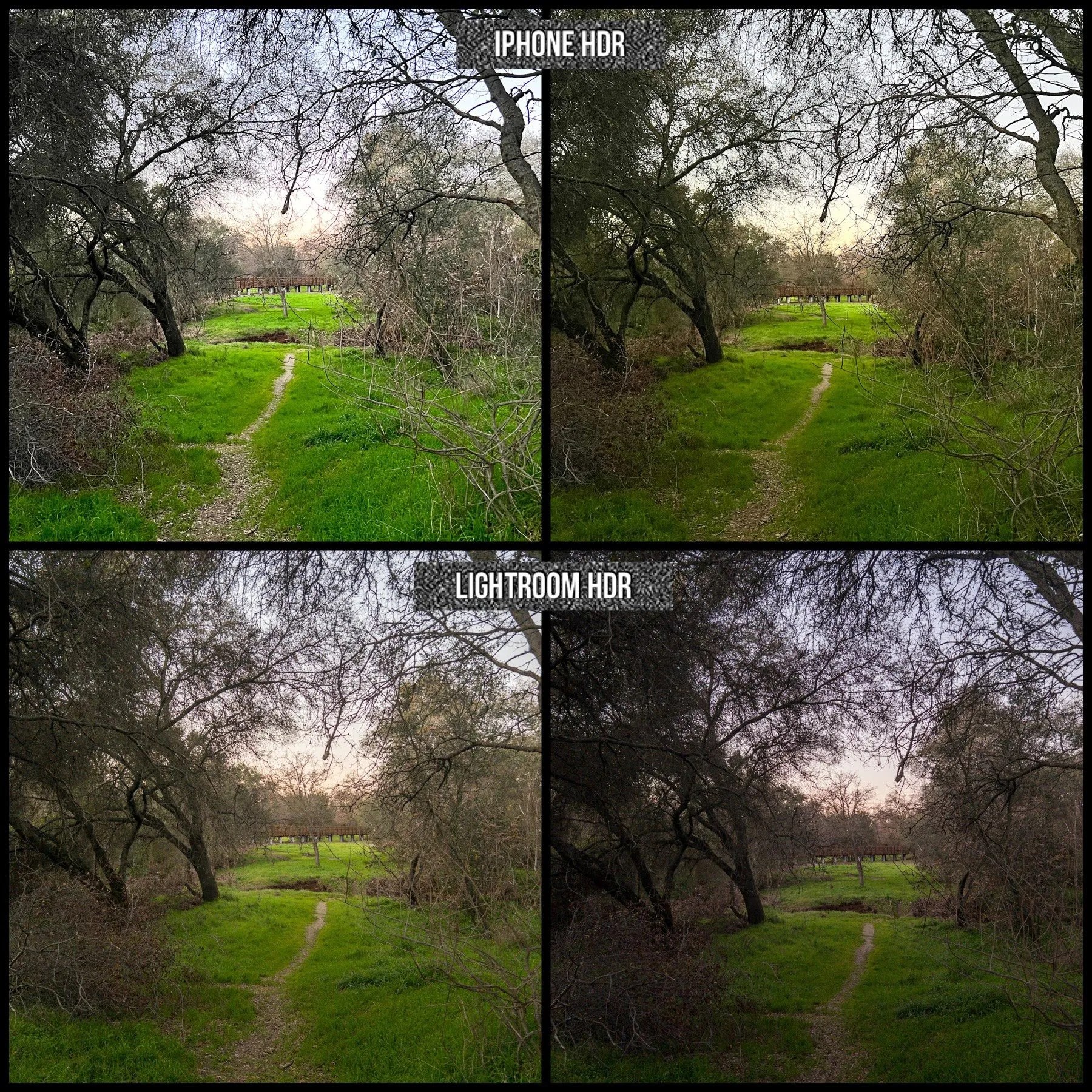 Comparing iPhone OS camera vs Lightroom app camera for HDR