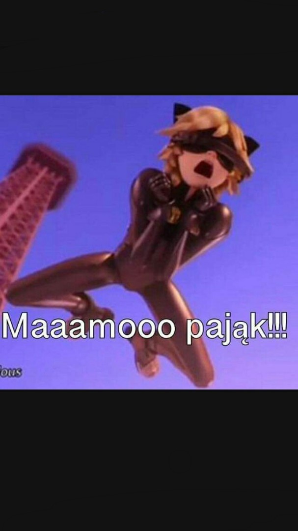 Zobacz memy po losowaniu baraży. Memy Miraculous | sameQuizy