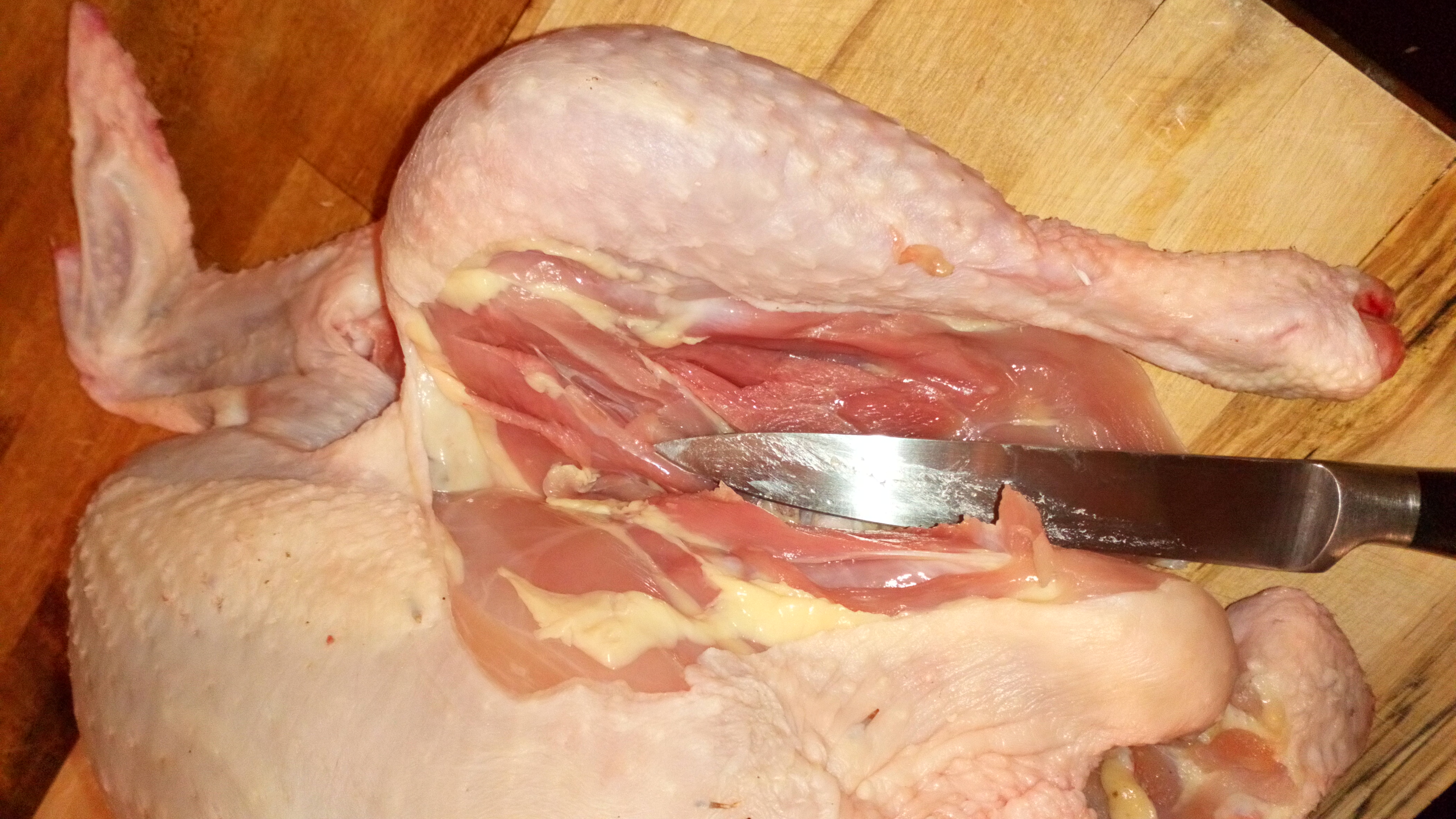 Mettre le poulet sur le dos, arrière vers la droite. écarter la cuisse de droite, et découper le muscle en longeant la lame le long de l'os latéral qui la retient. Put the chicken on the back, defer towards the right. Rule out the right thigh, and cut the muscle by following the blade along the side bone which holds it.