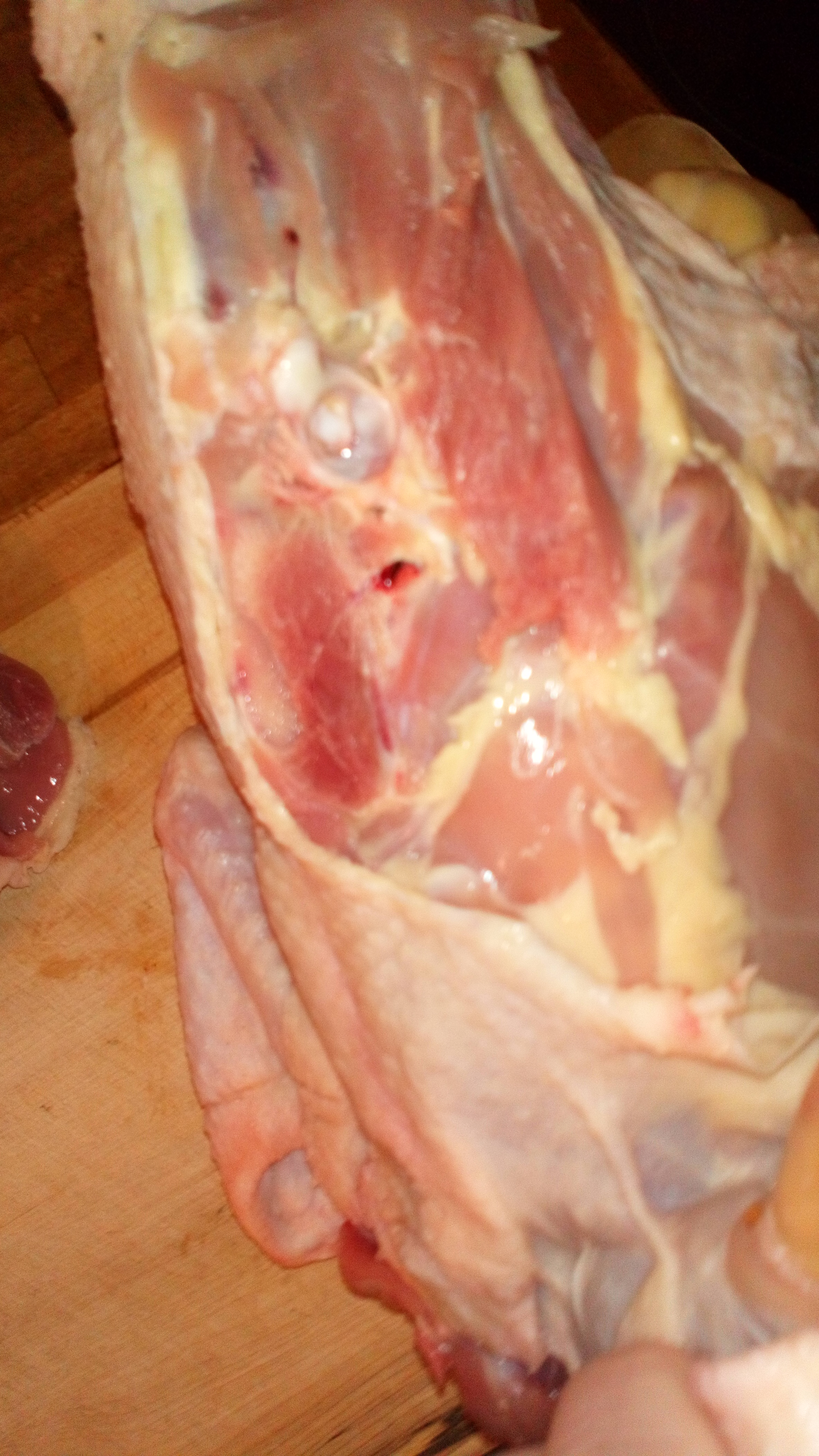 Vous pouvez voir le creux sur le dos où se situe le plus tendre morceau du poulet , ou des volailles en général. You can see the hollow on the back where is most situated to aim piece of the chicken, or the poultry generally.