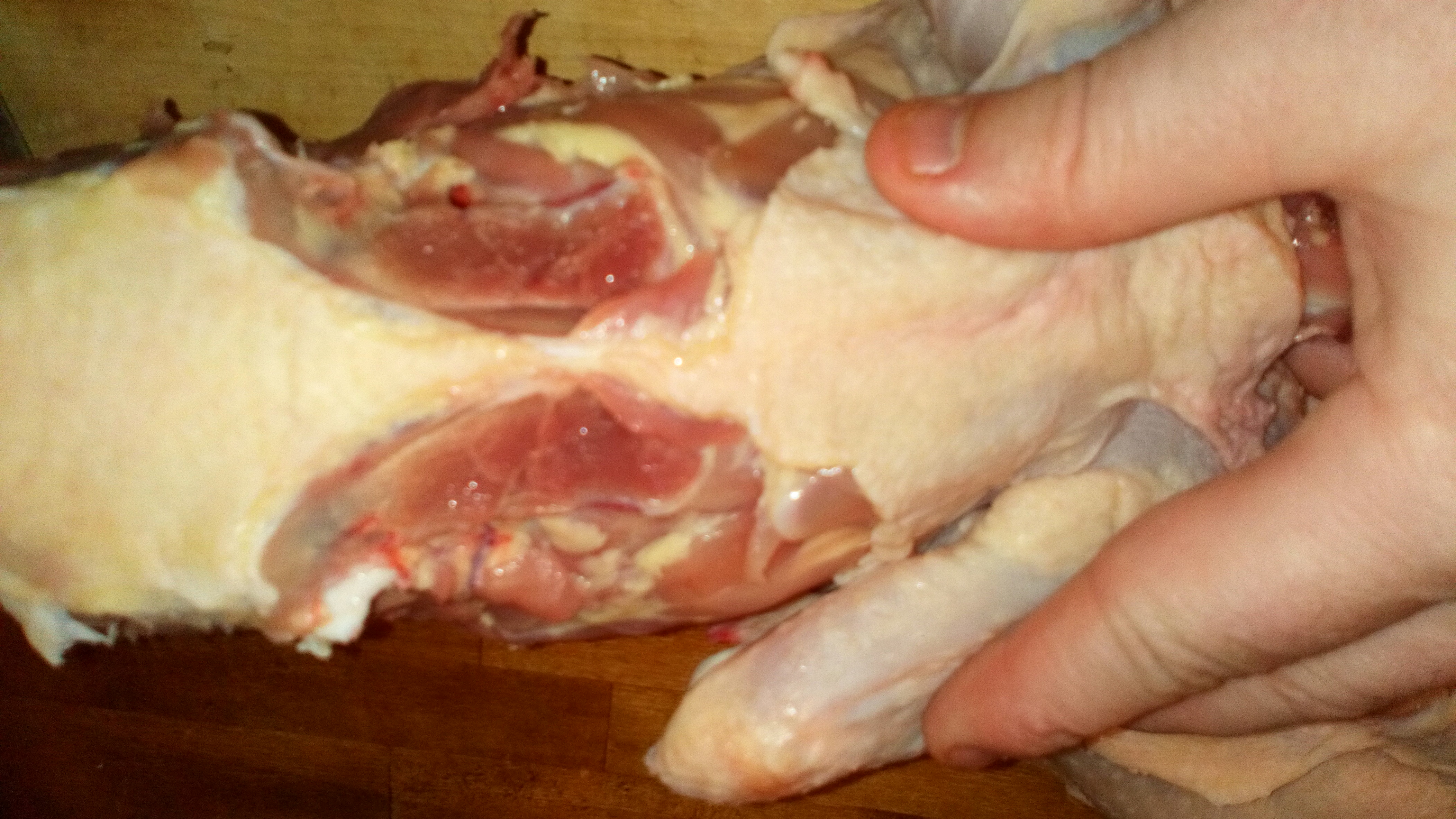 Voici ce que donne le dos une fois les cuisses enlevées. This is what the back once the removed thighs gives.