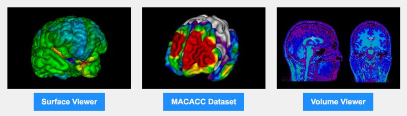 Browser Brain - Best Dark Textures in 4K