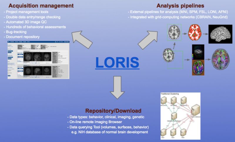 Loriscreate Loris Create Github - High Resolution Nature Textures for Desktop