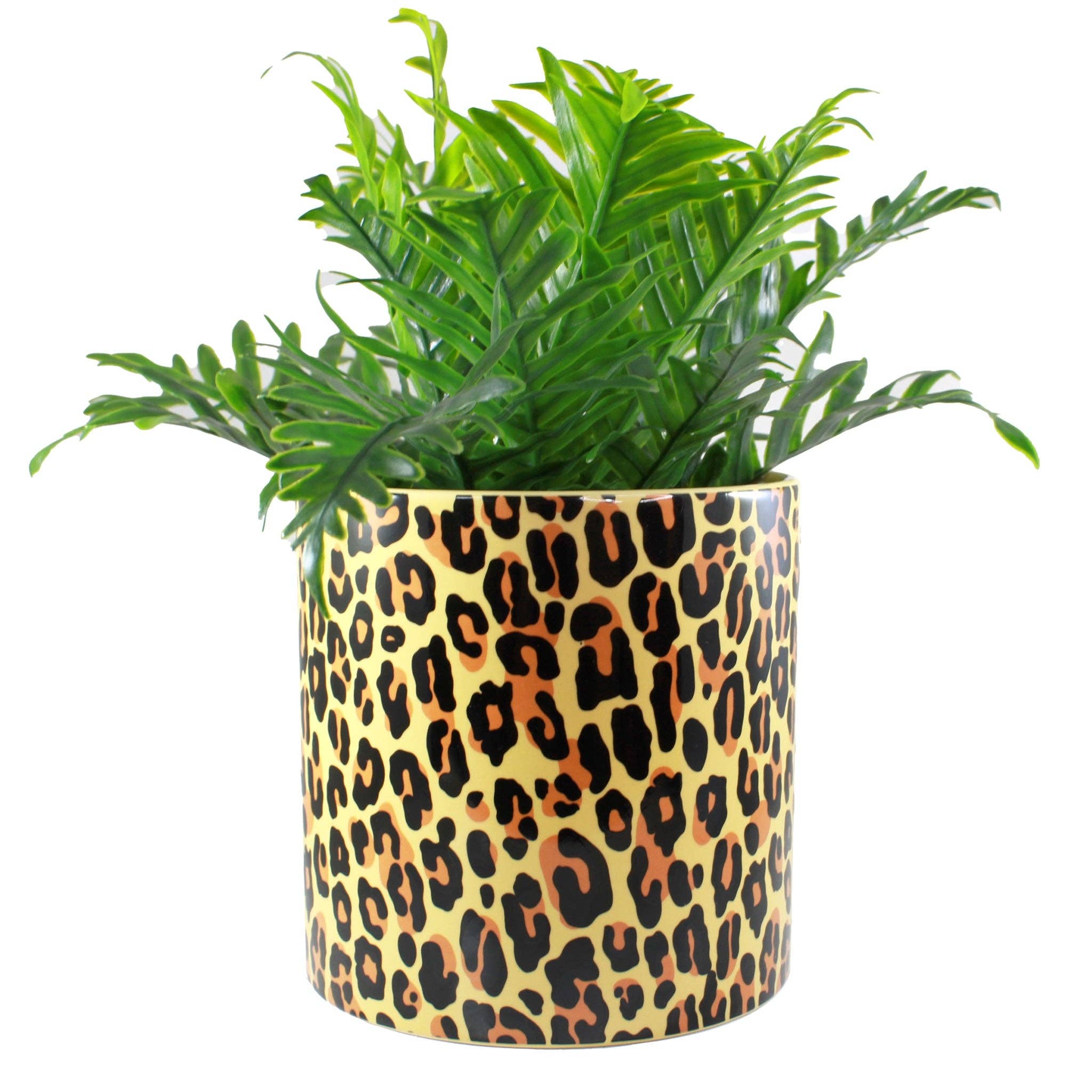 SOURPUSS LEOPARD PLANT CONTAINER