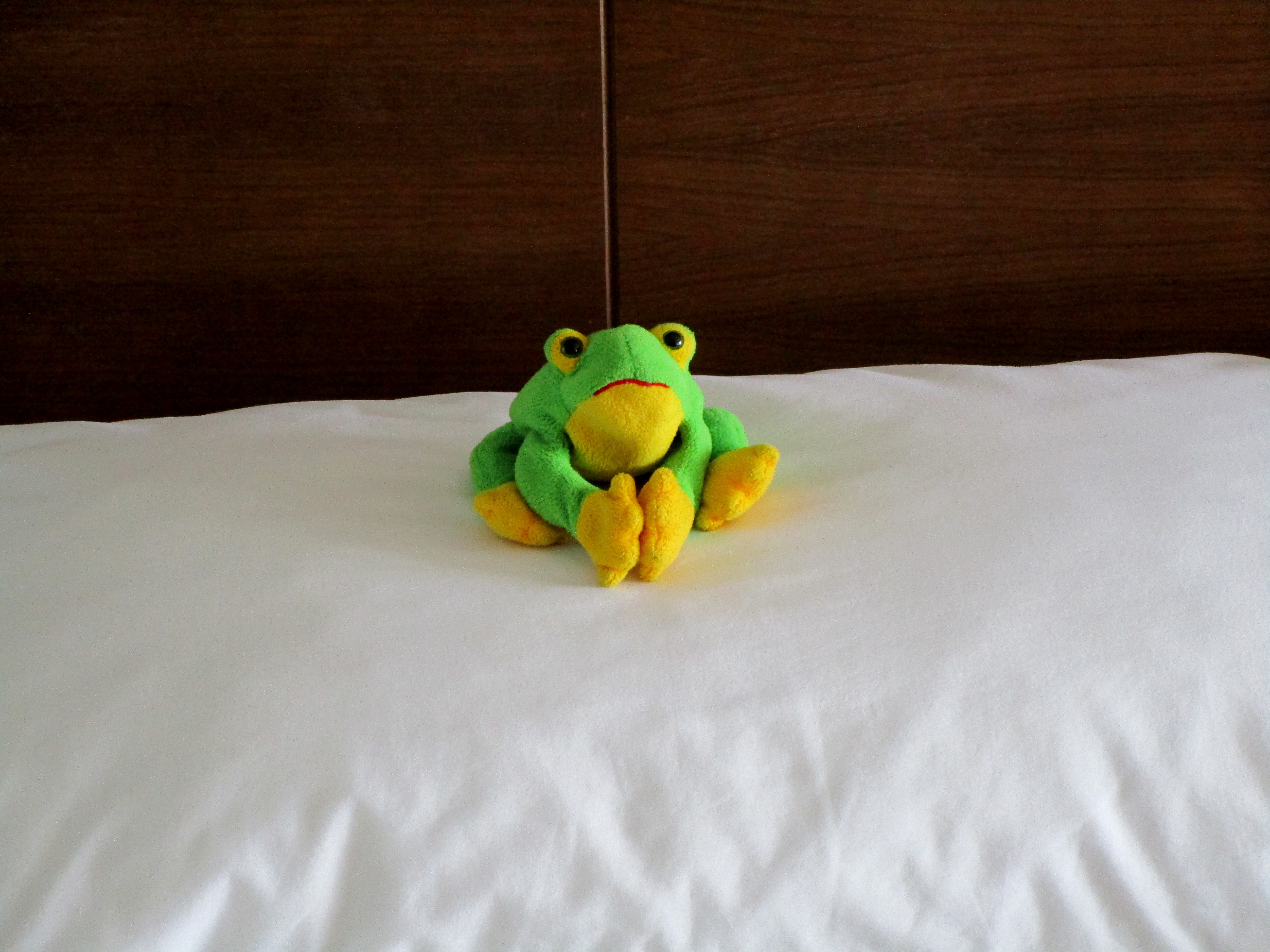 Respectful froggy