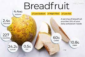 breadfruit01