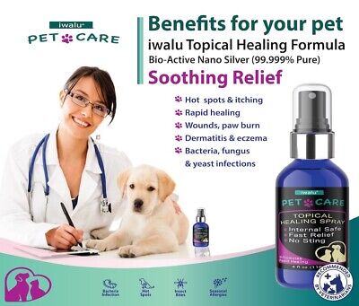 DOG SKIN ALLERGIES TREATMENT Soothing Antifungal Kills Parasites Bacteria Spray - Görsel 2